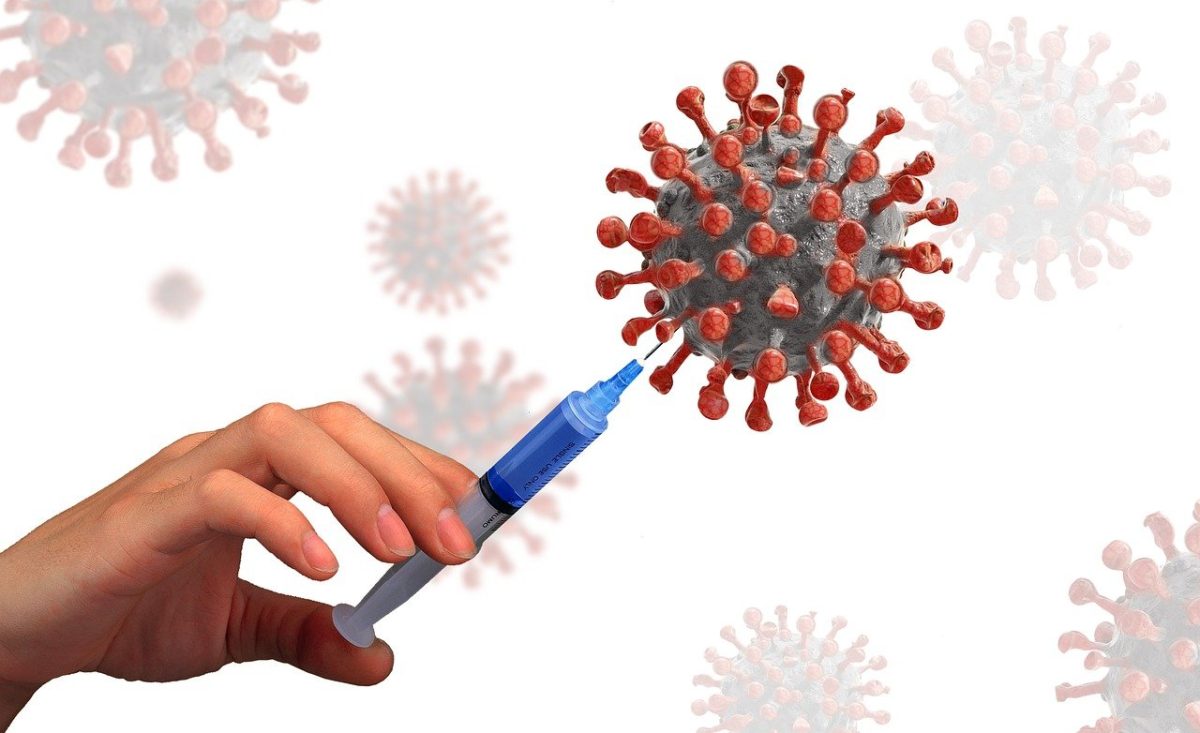 coronavirus vaccines